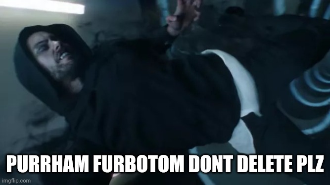 N | PURRHAM FURBOTOM DONT DELETE PLZ | made w/ Imgflip meme maker