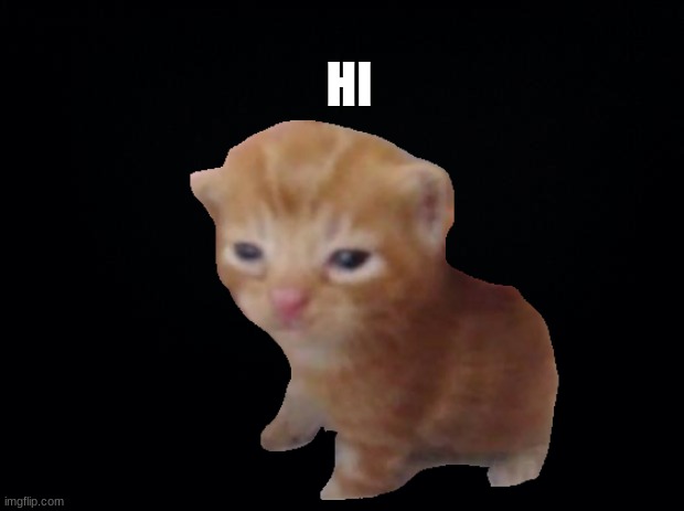 Herbert says hi | HI | image tagged in black background | made w/ Imgflip meme maker