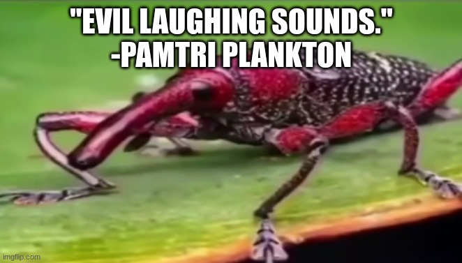 weevil | "EVIL LAUGHING SOUNDS."
-PAMTRI PLANKTON | image tagged in weevil | made w/ Imgflip meme maker