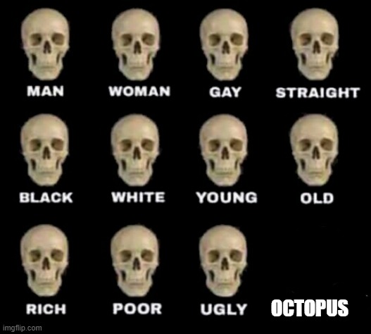 octopus are cool | OCTOPUS | image tagged in idiot skull | made w/ Imgflip meme maker