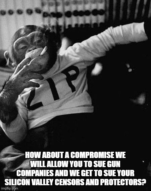 Zip the Smoking Chimp | HOW ABOUT A COMPROMISE WE WILL ALLOW YOU TO SUE GUN COMPANIES AND WE GET TO SUE YOUR SILICON VALLEY CENSORS AND PROTECTORS? | image tagged in zip the smoking chimp | made w/ Imgflip meme maker