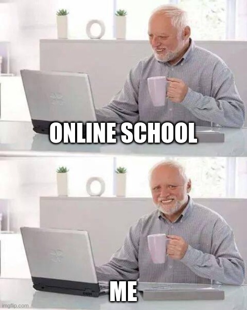 When you have online school | ONLINE SCHOOL; ME | image tagged in memes,hide the pain harold | made w/ Imgflip meme maker