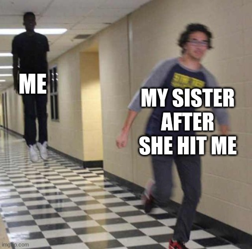 floating boy chasing running boy | ME; MY SISTER AFTER SHE HIT ME | image tagged in floating boy chasing running boy | made w/ Imgflip meme maker