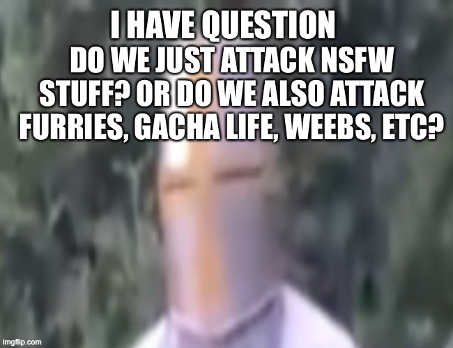 I need an honest answer | I HAVE QUESTION; DO WE JUST ATTACK NSFW STUFF? OR DO WE ALSO ATTACK FURRIES, GACHA LIFE, WEEBS, ETC? | image tagged in what the pope | made w/ Imgflip meme maker