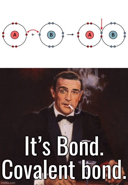 Double Oh No | It’s Bond.
Covalent bond. | image tagged in funny memes,james bond,dad jokes,eyeroll | made w/ Imgflip meme maker