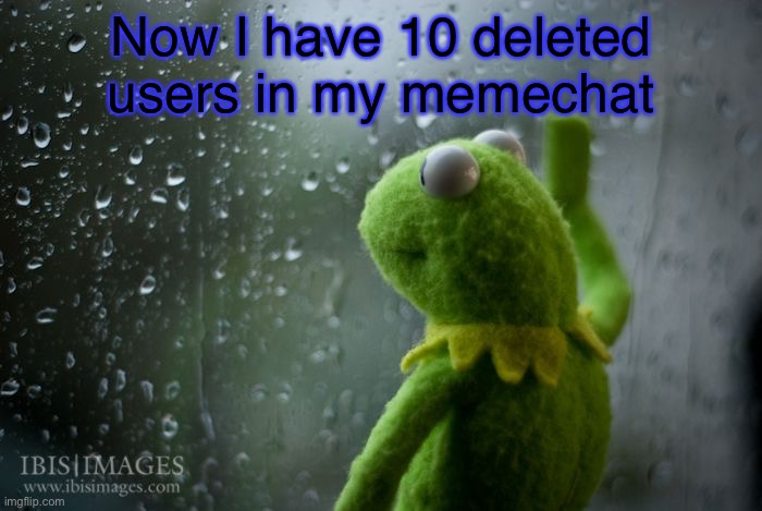 kermit window | Now I have 10 deleted users in my memechat | image tagged in kermit window | made w/ Imgflip meme maker