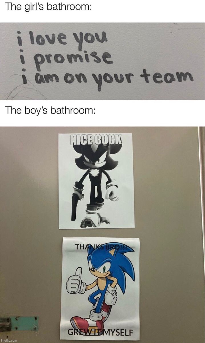 Pfft | image tagged in memes,funny,sonic | made w/ Imgflip meme maker