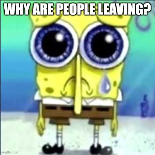 Sad Spongebob | WHY ARE PEOPLE LEAVING? | image tagged in sad spongebob | made w/ Imgflip meme maker