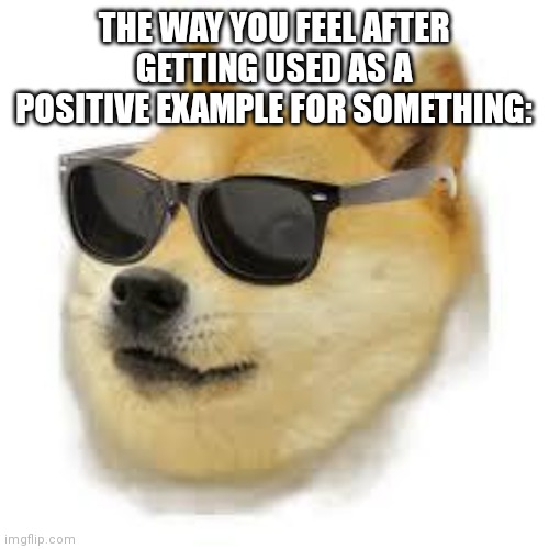 Cool doggo | THE WAY YOU FEEL AFTER GETTING USED AS A POSITIVE EXAMPLE FOR SOMETHING: | image tagged in mlg doge,positive,memes,oh wow are you actually reading these tags | made w/ Imgflip meme maker