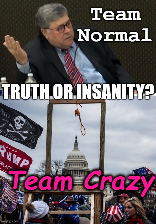 Team Normal Team Crazy Truth or Insanity? | Team Normal; TRUTH OR INSANITY? Team Crazy | image tagged in trump,democrat,republican,insurrection,bill barr,militia | made w/ Imgflip meme maker