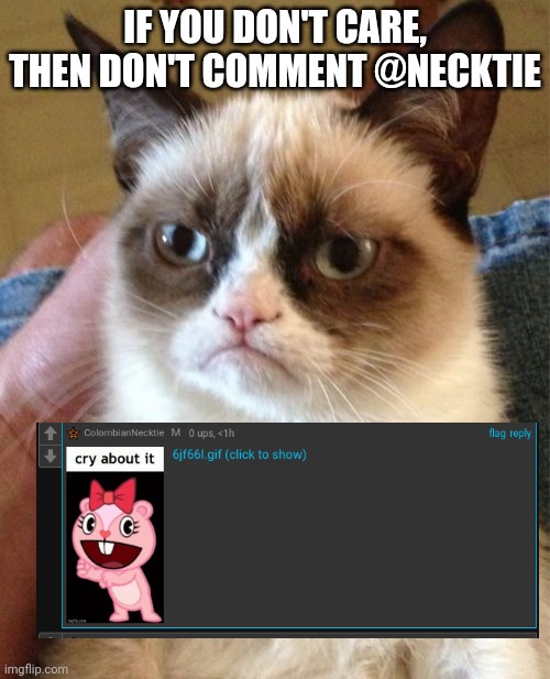 Grumpy Cat | IF YOU DON'T CARE, THEN DON'T COMMENT @NECKTIE | image tagged in memes,grumpy cat | made w/ Imgflip meme maker
