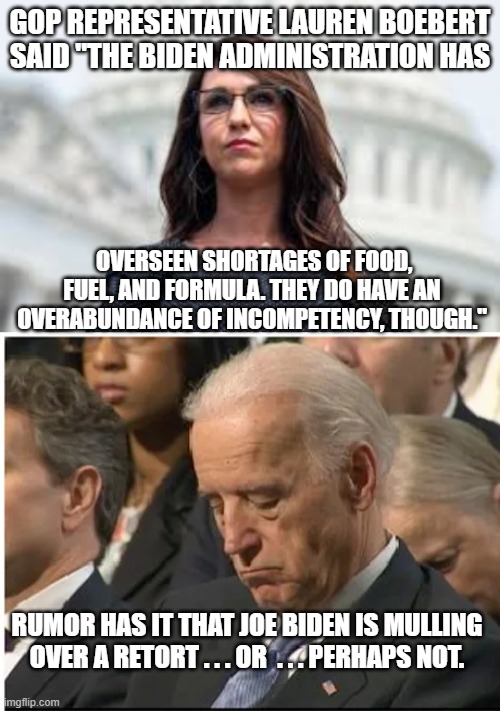 This is your nation with a Dementia Patient at the helm.  Enjoy. | GOP REPRESENTATIVE LAUREN BOEBERT SAID "THE BIDEN ADMINISTRATION HAS; OVERSEEN SHORTAGES OF FOOD, FUEL, AND FORMULA. THEY DO HAVE AN OVERABUNDANCE OF INCOMPETENCY, THOUGH."; RUMOR HAS IT THAT JOE BIDEN IS MULLING OVER A RETORT . . . OR  . . . PERHAPS NOT. | image tagged in reality | made w/ Imgflip meme maker
