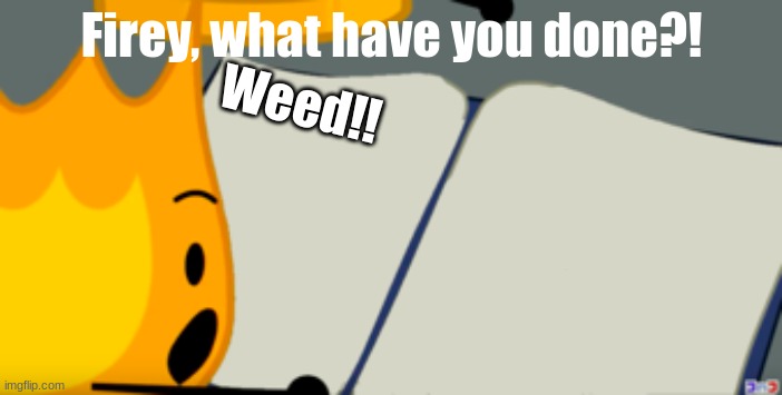 FIREY WHAT HAVE YOU DONE? | Firey, what have you done?! Weed!! | image tagged in bfdi is back book | made w/ Imgflip meme maker
