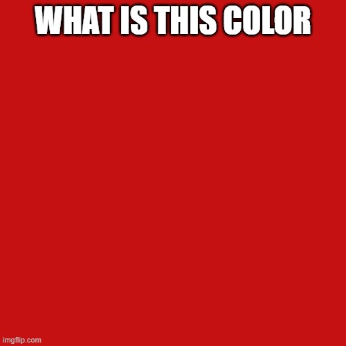 Blank Transparent Square Meme | WHAT IS THIS COLOR | image tagged in memes,blank transparent square | made w/ Imgflip meme maker