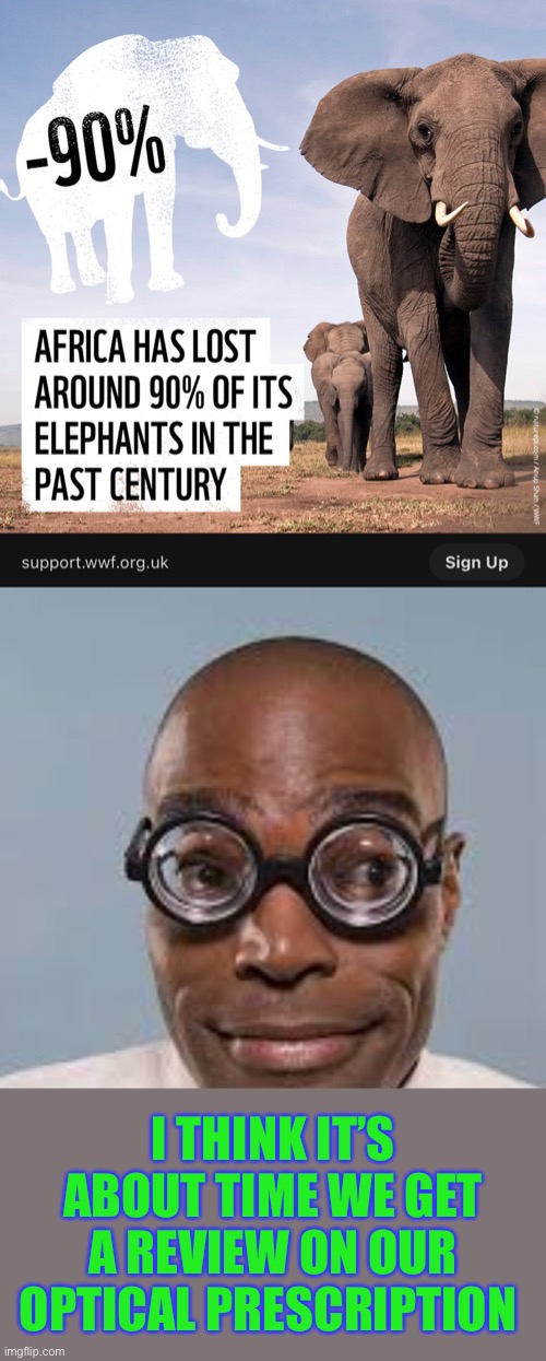 I’m always losing my car keys .. but I’ve never lost a … | I THINK IT’S ABOUT TIME WE GET A REVIEW ON OUR OPTICAL PRESCRIPTION | image tagged in wwf,africa,mr magoo,elephants,misplaced,fun | made w/ Imgflip meme maker