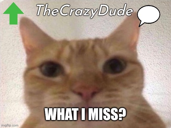 Crazy dude temp | WHAT I MISS? | image tagged in crazy dude temp | made w/ Imgflip meme maker