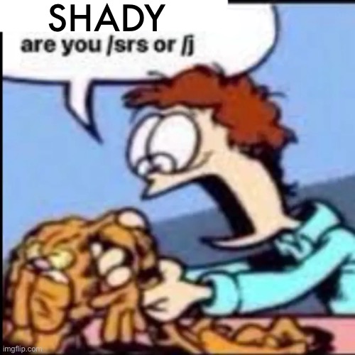Garfield are you /srs or /j | SHADY | image tagged in garfield are you /srs or /j | made w/ Imgflip meme maker