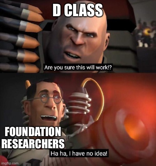 Scp meme | D CLASS; FOUNDATION RESEARCHERS | image tagged in are you sure this will work ha ha i have no idea,scp | made w/ Imgflip meme maker