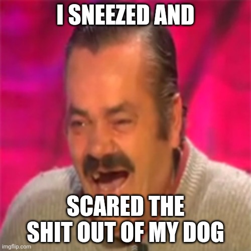 Laughing Mexican | I SNEEZED AND; SCARED THE SHIT OUT OF MY DOG | image tagged in laughing mexican | made w/ Imgflip meme maker