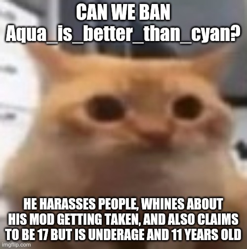 spoingus | CAN WE BAN Aqua_is_better_than_cyan? HE HARASSES PEOPLE, WHINES ABOUT HIS MOD GETTING TAKEN, AND ALSO CLAIMS TO BE 17 BUT IS UNDERAGE AND 11 YEARS OLD | image tagged in spoingus | made w/ Imgflip meme maker