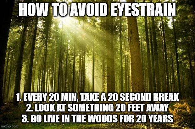 How to Avoid Eyestrain | HOW TO AVOID EYESTRAIN; 1. EVERY 20 MIN, TAKE A 20 SECOND BREAK
2. LOOK AT SOMETHING 20 FEET AWAY
3. GO LIVE IN THE WOODS FOR 20 YEARS | image tagged in sunlit forest | made w/ Imgflip meme maker