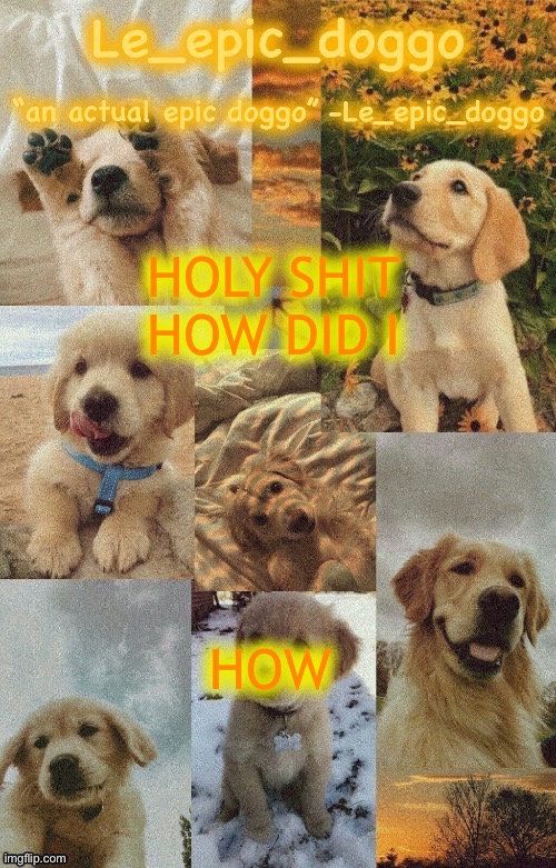 Doggo temp by doggo. Wait what that’s confusing | HOLY SHIT HOW DID I; HOW | image tagged in doggo temp by doggo wait what that s confusing | made w/ Imgflip meme maker