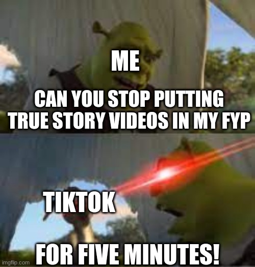 this actually happened to me | ME; CAN YOU STOP PUTTING TRUE STORY VIDEOS IN MY FYP; TIKTOK; FOR FIVE MINUTES! | image tagged in can you stop for 5 minutes,tiktok,fake stories | made w/ Imgflip meme maker