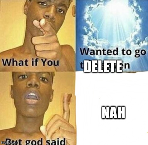 What if you wanted to go to Heaven | DELETE NAH | image tagged in what if you wanted to go to heaven | made w/ Imgflip meme maker