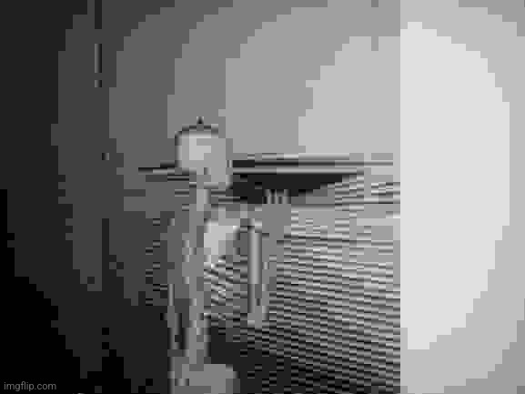 skeleton | image tagged in skeleton looking out window | made w/ Imgflip meme maker