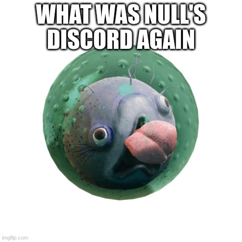 Glickbol | WHAT WAS NULL'S DISCORD AGAIN | image tagged in glickbol | made w/ Imgflip meme maker