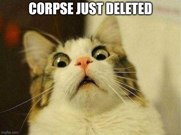 Oh god | CORPSE JUST DELETED | image tagged in memes,scared cat | made w/ Imgflip meme maker