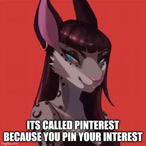 ITS CALLED PINTEREST BECAUSE YOU PIN YOUR INTEREST | made w/ Imgflip meme maker