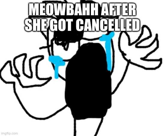 MEOWBAHH AFTER SHE GOT CANCELLED | image tagged in cursed crying emoji declan | made w/ Imgflip meme maker