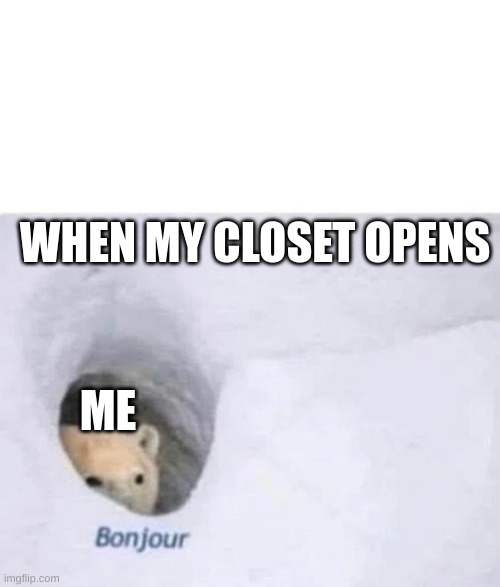 Bonjour | WHEN MY CLOSET OPENS; ME | image tagged in bonjour | made w/ Imgflip meme maker