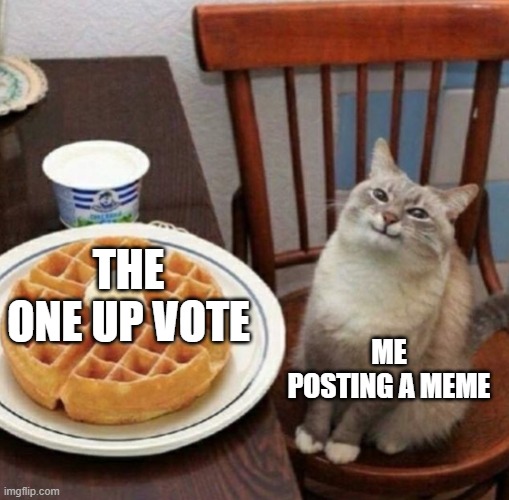 Posting memes |  THE ONE UP VOTE; ME POSTING A MEME | image tagged in cat likes their waffle | made w/ Imgflip meme maker