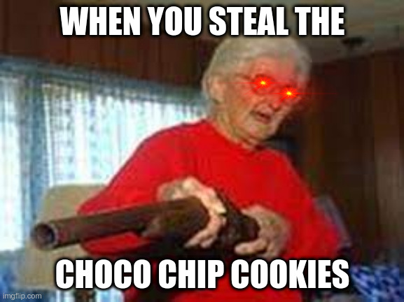 choco chips | WHEN YOU STEAL THE; CHOCO CHIP COOKIES | image tagged in grandma,coolio | made w/ Imgflip meme maker