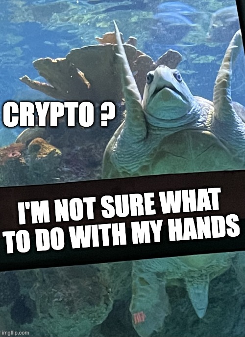 Unsurtle | CRYPTO ? I'M NOT SURE WHAT TO DO WITH MY HANDS | image tagged in unsure turtle,crypto,ricky bobby | made w/ Imgflip meme maker