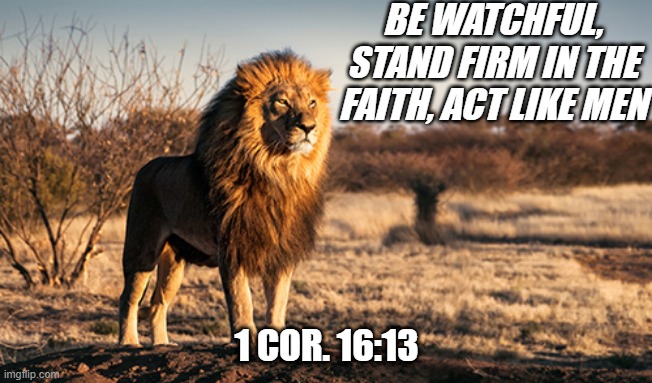 Act Like men | BE WATCHFUL, STAND FIRM IN THE FAITH, ACT LIKE MEN; 1 COR. 16:13 | image tagged in father's day,bible | made w/ Imgflip meme maker