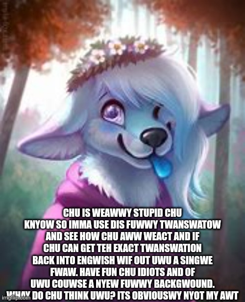 CHU IS WEAWWY STUPID CHU KNYOW SO IMMA USE DIS FUWWY TWANSWATOW AND SEE HOW CHU AWW WEACT AND IF CHU CAN GET TEH EXACT TWANSWATION BACK INTO ENGWISH WIF OUT UWU A SINGWE FWAW. HAVE FUN CHU IDIOTS AND OF UWU COUWSE A NYEW FUWWY BACKGWOUND. WHAY DO CHU THINK UWU? ITS OBVIOUSWY NYOT MY AWT | made w/ Imgflip meme maker