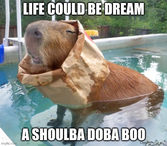 bruh | LIFE COULD BE DREAM; A SHOULBA DOBA BOO | image tagged in memes | made w/ Imgflip meme maker