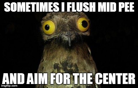 Weird Stuff I Do Potoo | SOMETIMES I FLUSH MID PEE AND AIM FOR THE CENTER | image tagged in memes,weird stuff i do potoo,AdviceAnimals | made w/ Imgflip meme maker