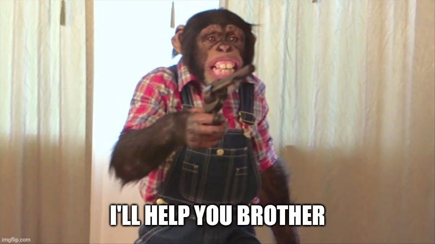 Monkey with a gun | I'LL HELP YOU BROTHER | image tagged in monkey with a gun | made w/ Imgflip meme maker