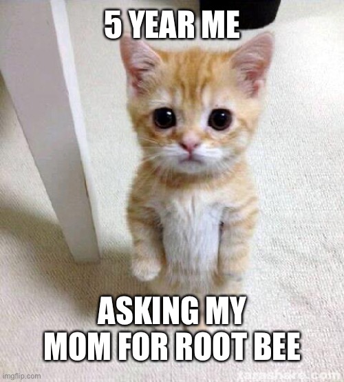 Cute Cat | 5 YEAR ME; ASKING MY MOM FOR ROOT BEER | image tagged in memes,cute cat | made w/ Imgflip meme maker