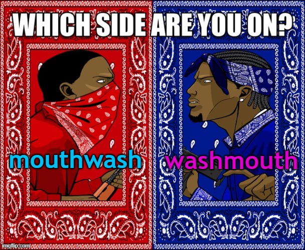 . | washmouth; mouthwash | image tagged in which side are you on | made w/ Imgflip meme maker