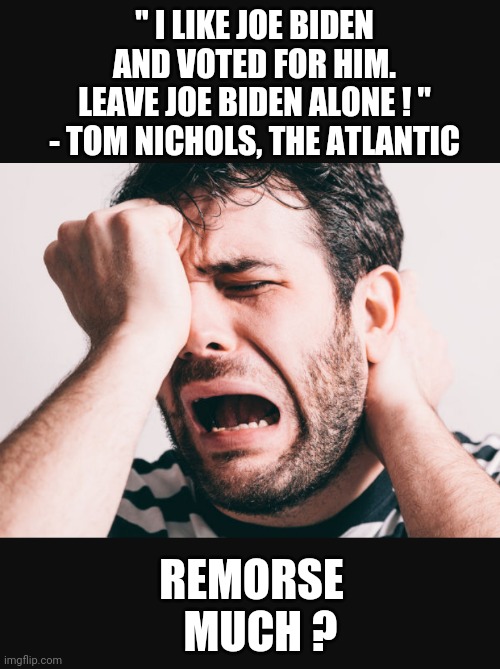 Liberal Tears | " I LIKE JOE BIDEN AND VOTED FOR HIM.
LEAVE JOE BIDEN ALONE ! "
- TOM NICHOLS, THE ATLANTIC; REMORSE
  MUCH ? | image tagged in democrats,liberals,leftists,congress,biden,economy | made w/ Imgflip meme maker