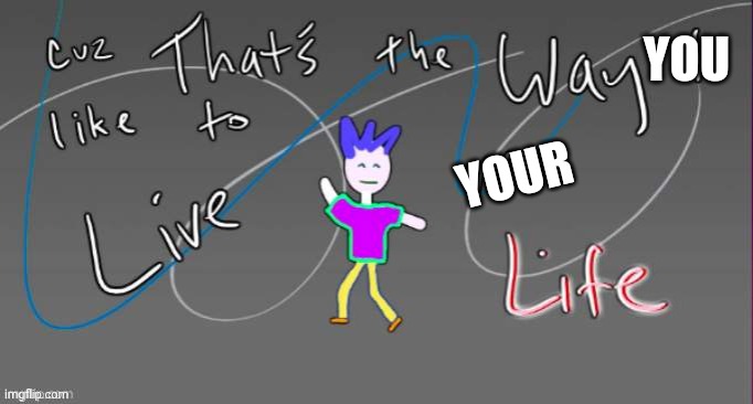 Cuz that's the way I like to live my life | YOU YOUR | image tagged in cuz that's the way i like to live my life | made w/ Imgflip meme maker
