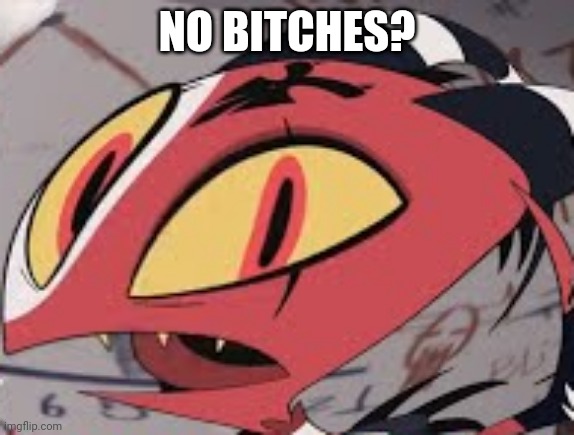 NO BITCHES? | made w/ Imgflip meme maker