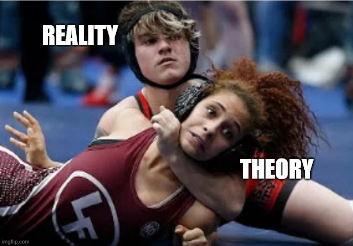 Reality |  REALITY; THEORY | image tagged in sjw,feminism,woke | made w/ Imgflip meme maker
