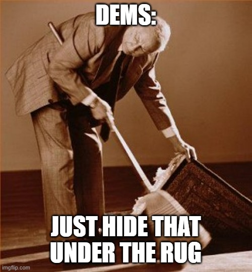 DEMS: JUST HIDE THAT UNDER THE RUG | made w/ Imgflip meme maker