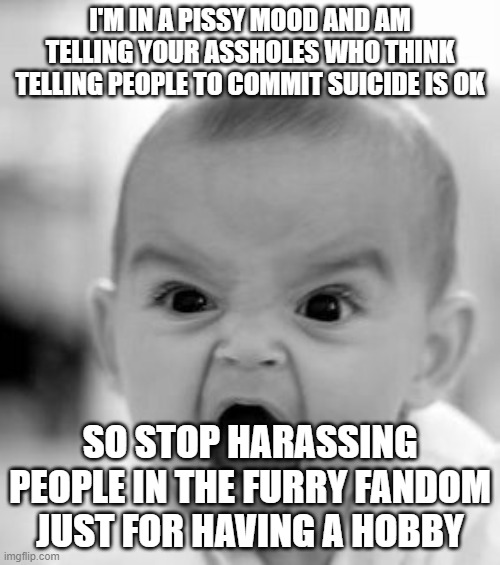 Angry Baby |  I'M IN A PISSY MOOD AND AM TELLING YOUR ASSHOLES WHO THINK TELLING PEOPLE TO COMMIT SUICIDE IS OK; SO STOP HARASSING PEOPLE IN THE FURRY FANDOM JUST FOR HAVING A HOBBY | image tagged in memes,angry baby | made w/ Imgflip meme maker
